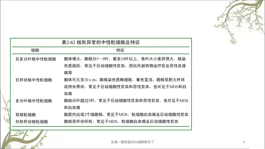 血液一般检验05白细胞部分下课件_第4页