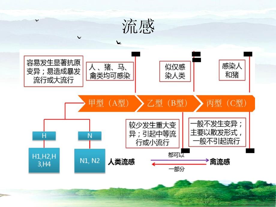 流感与流感样病例_第3页