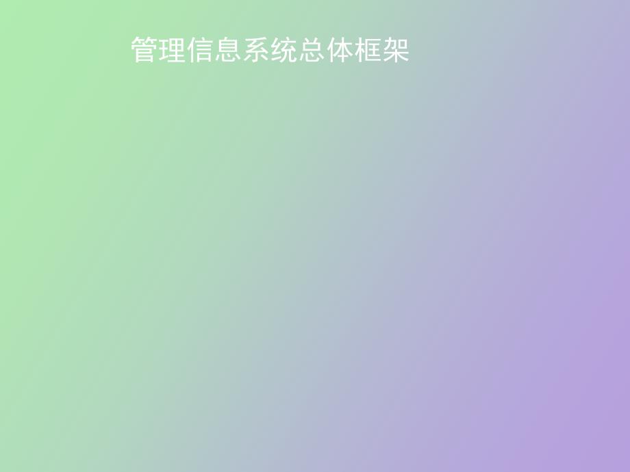 管理信息系统的开发_第1页