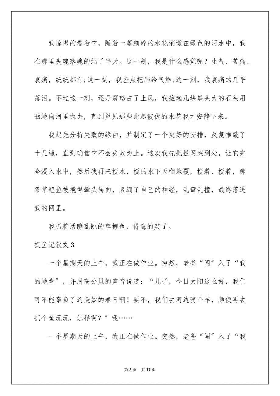 2023年捉鱼记叙文1范文.docx_第5页