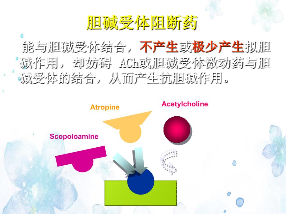 药理学胆碱受体阻断药_第1页