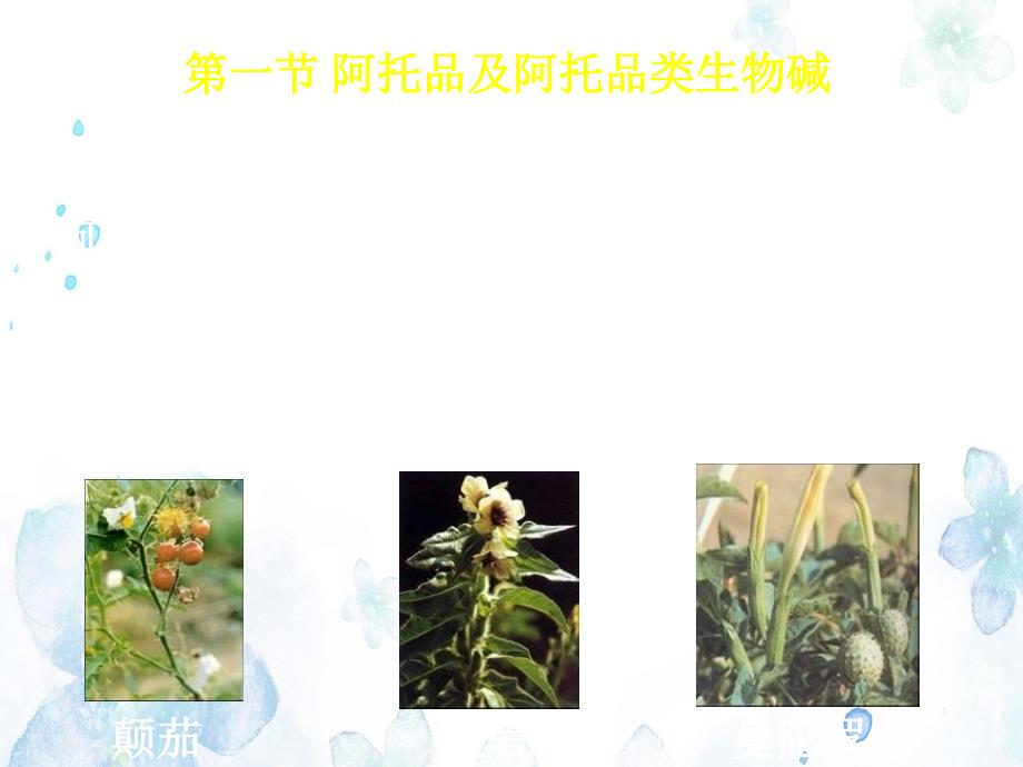 药理学胆碱受体阻断药_第4页