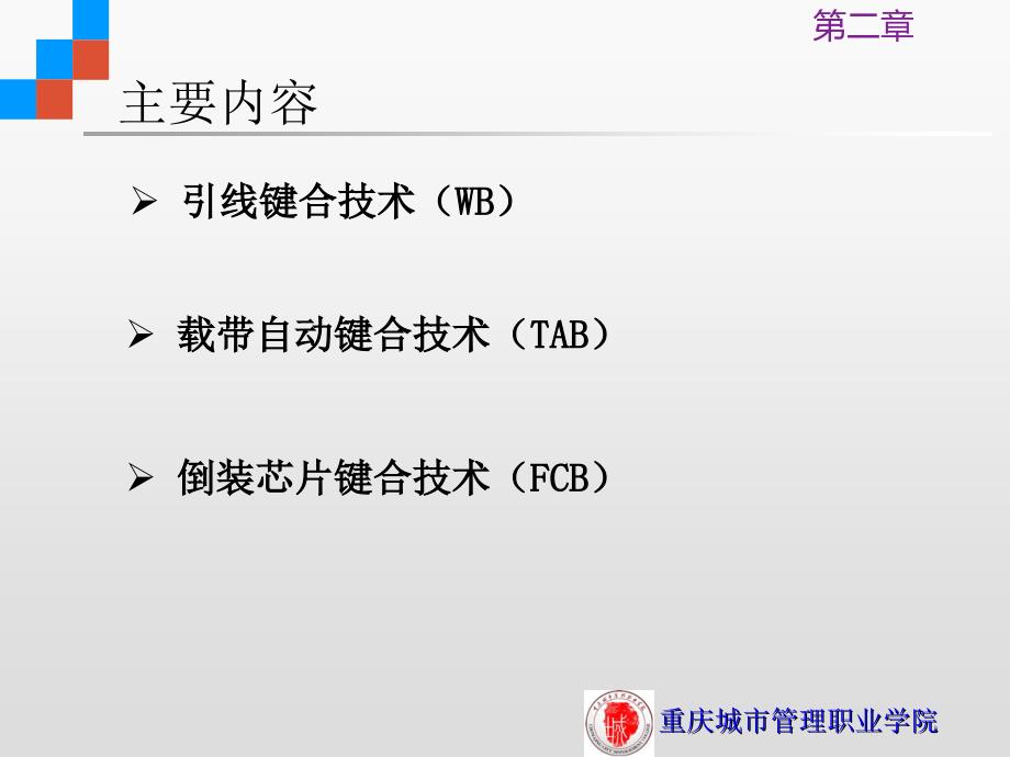 集成电路芯片封装技术芯片互连技术课件_第3页