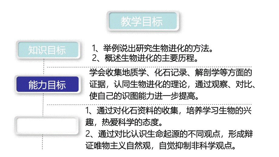 生物进化的历程_第2页