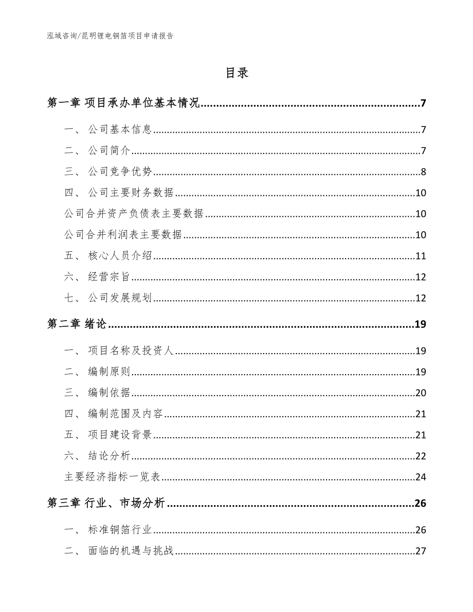 昆明锂电铜箔项目申请报告【模板】_第1页