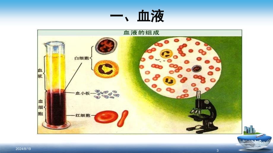 血液、血型及遗传优秀课件_第3页