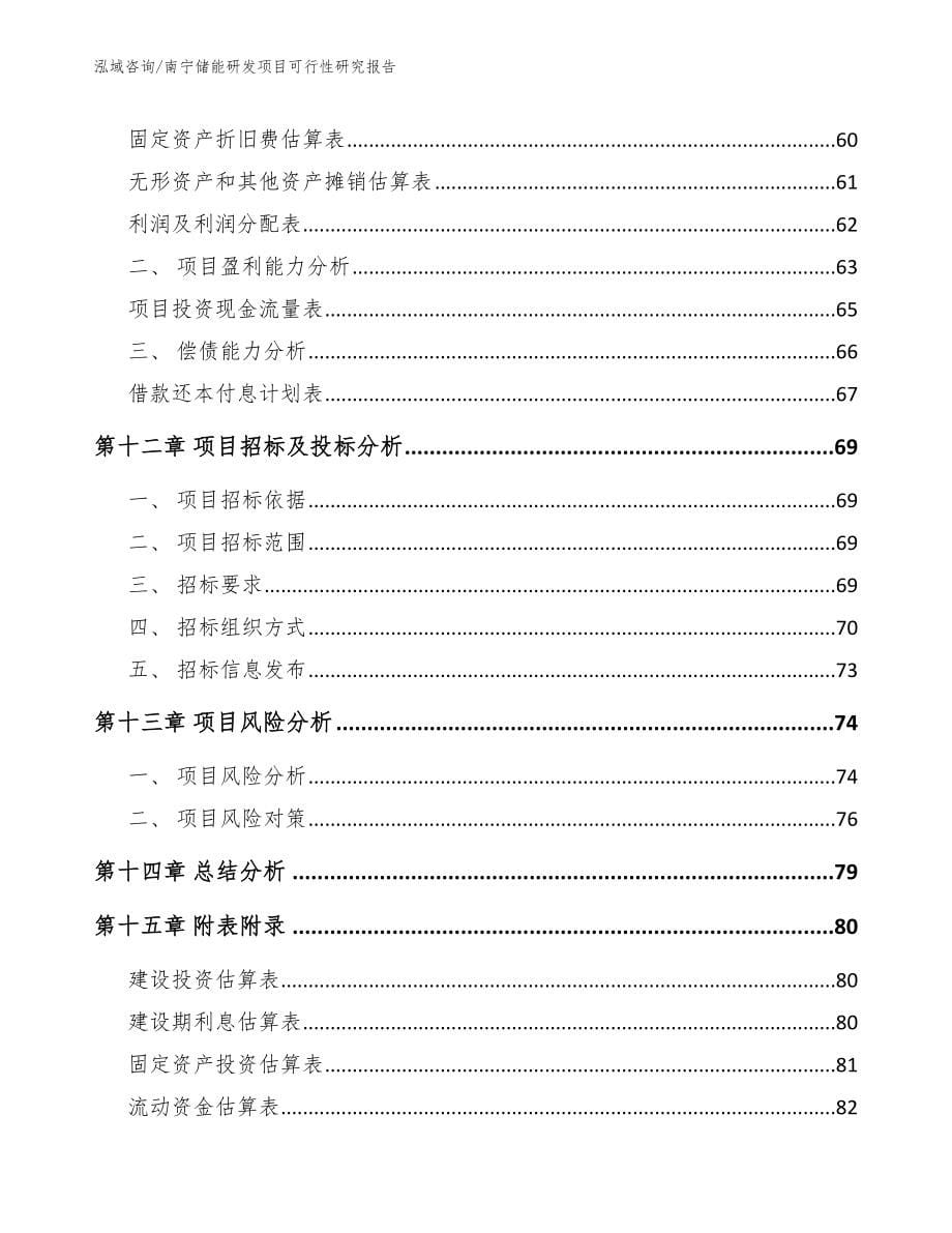 南宁储能研发项目可行性研究报告_第5页