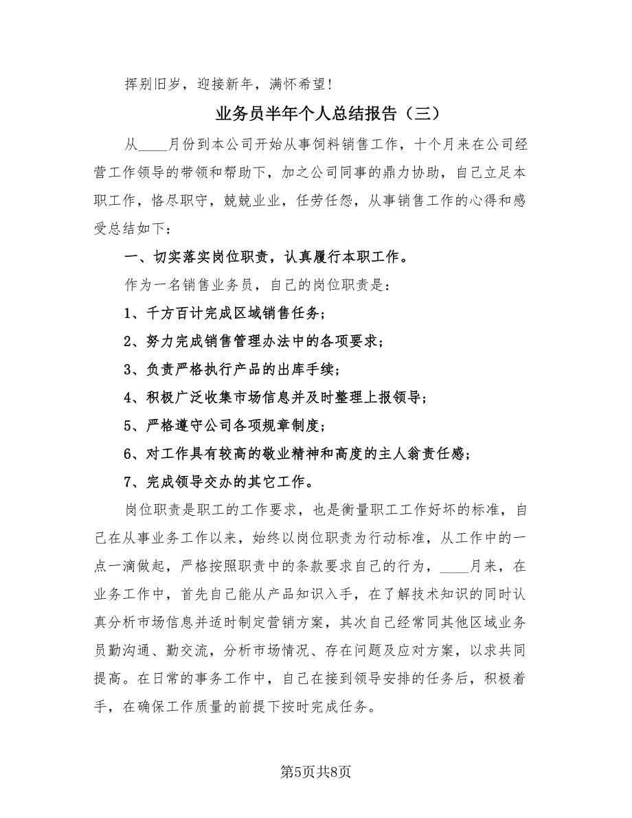 业务员半年个人总结报告（3篇）.doc_第5页