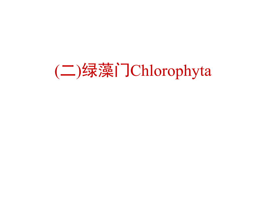 植物学教学课件：绿藻门Chlorophyta_第1页