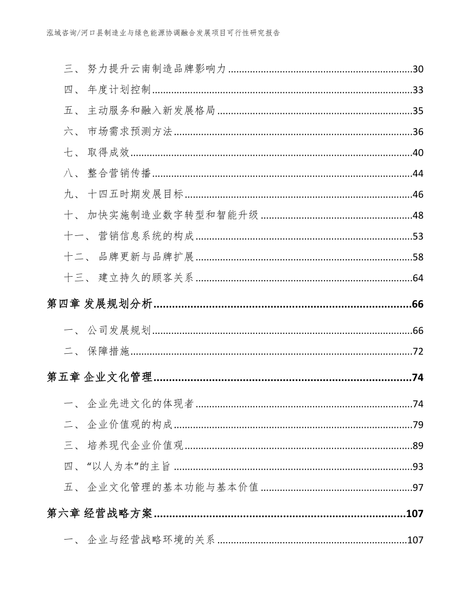 河口县制造业与绿色能源协调融合发展项目可行性研究报告（模板范文）_第2页