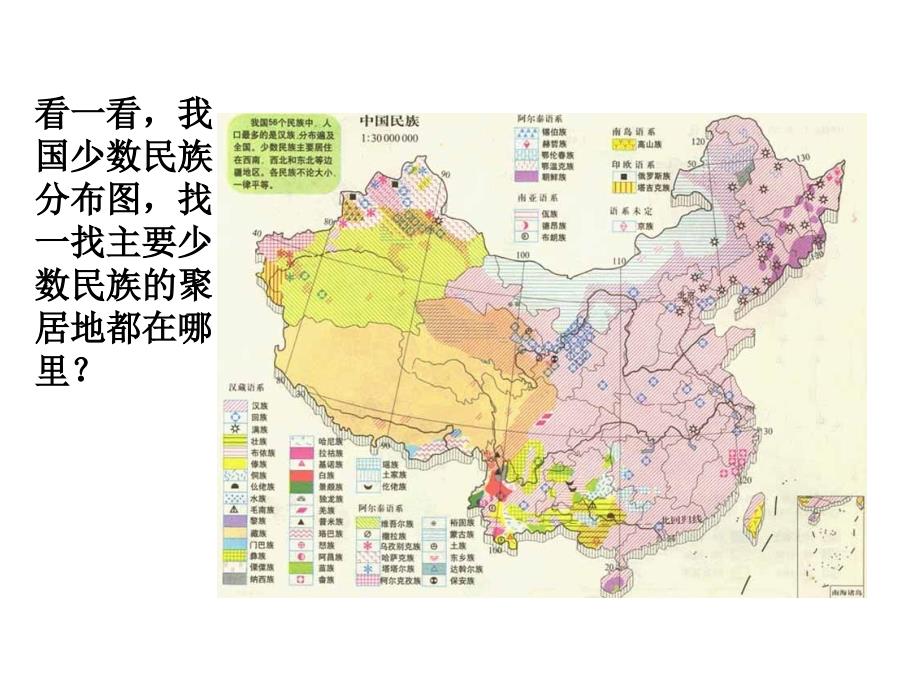 56个民族56支花_第4页