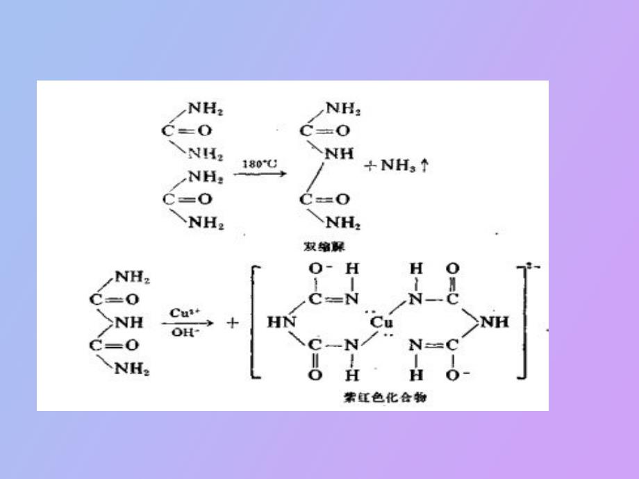 实验二蛋白质的颜色反应_第4页