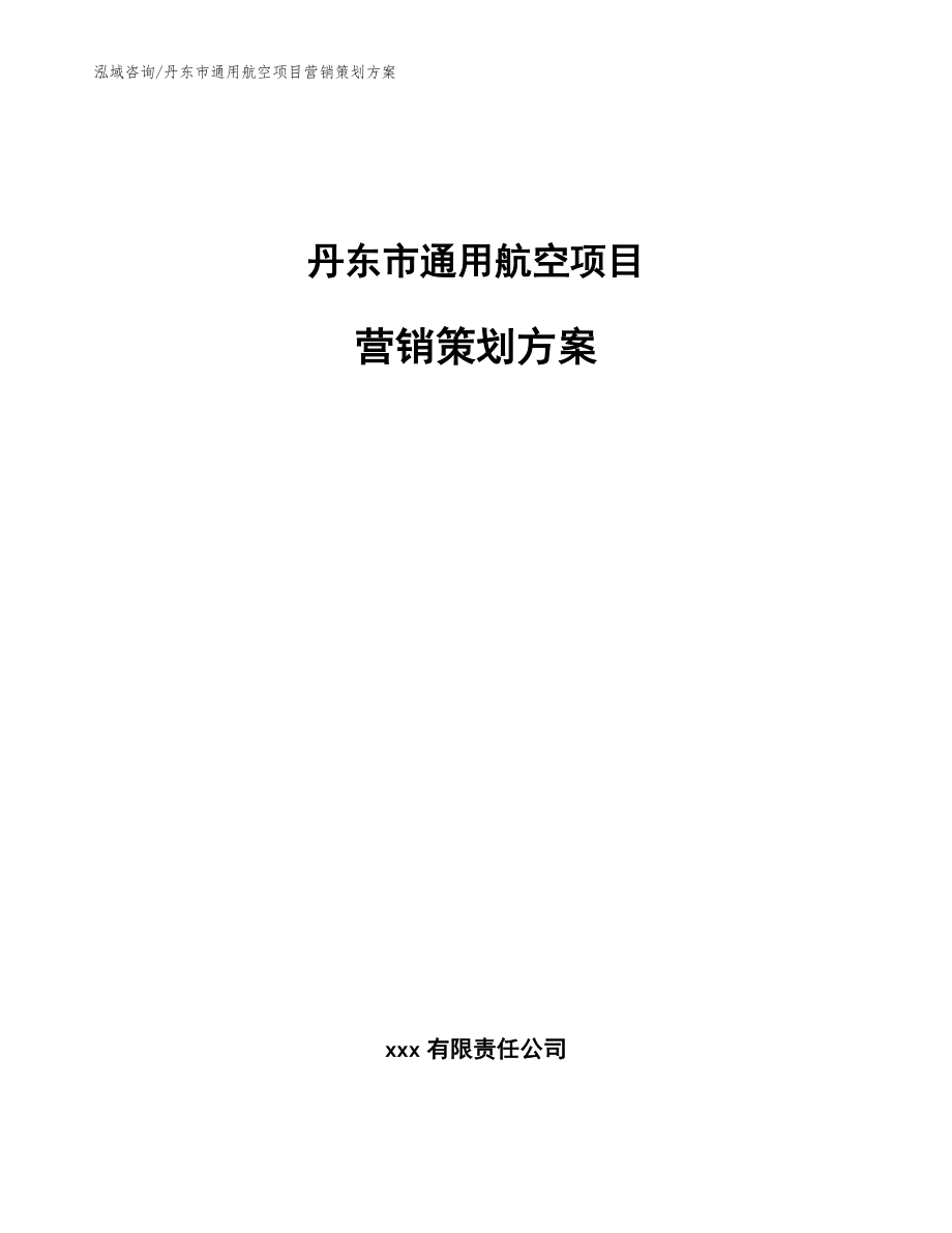 丹东市通用航空项目营销策划参考模板_第1页