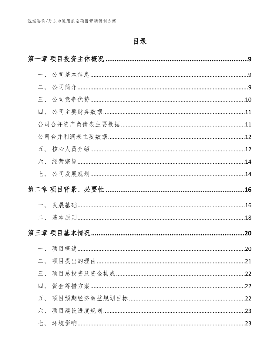 丹东市通用航空项目营销策划参考模板_第2页