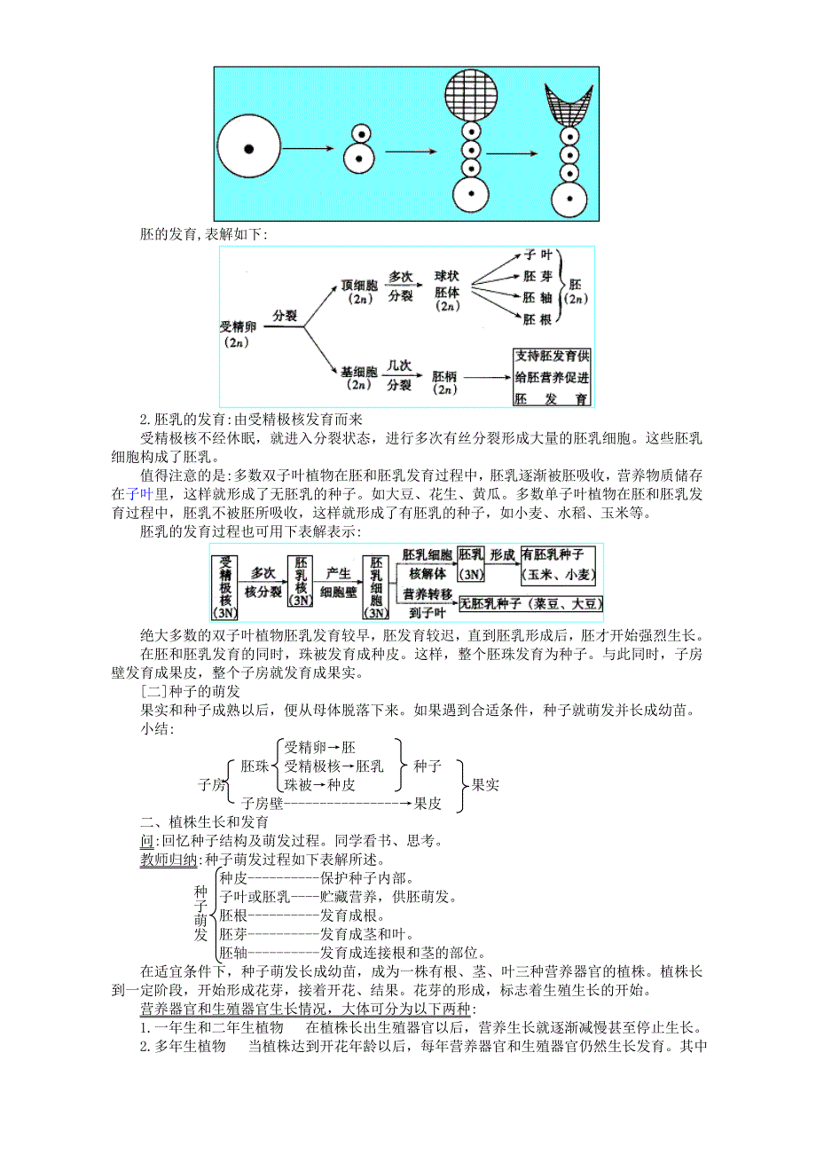 2022年高二生物被子植物的个体发育教案_第3页