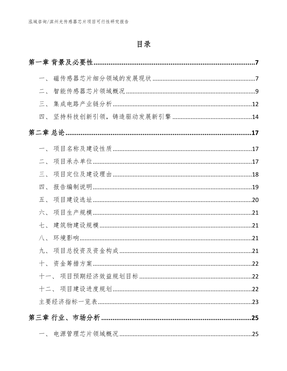 滨州光传感器芯片项目可行性研究报告（模板）_第1页