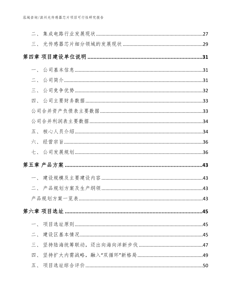 滨州光传感器芯片项目可行性研究报告（模板）_第2页