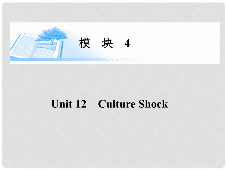 高考英语总复习（考点整合+语法专题+写作导航）Unit 12 Culture Shock精讲课件 北师大版必修4_第1页