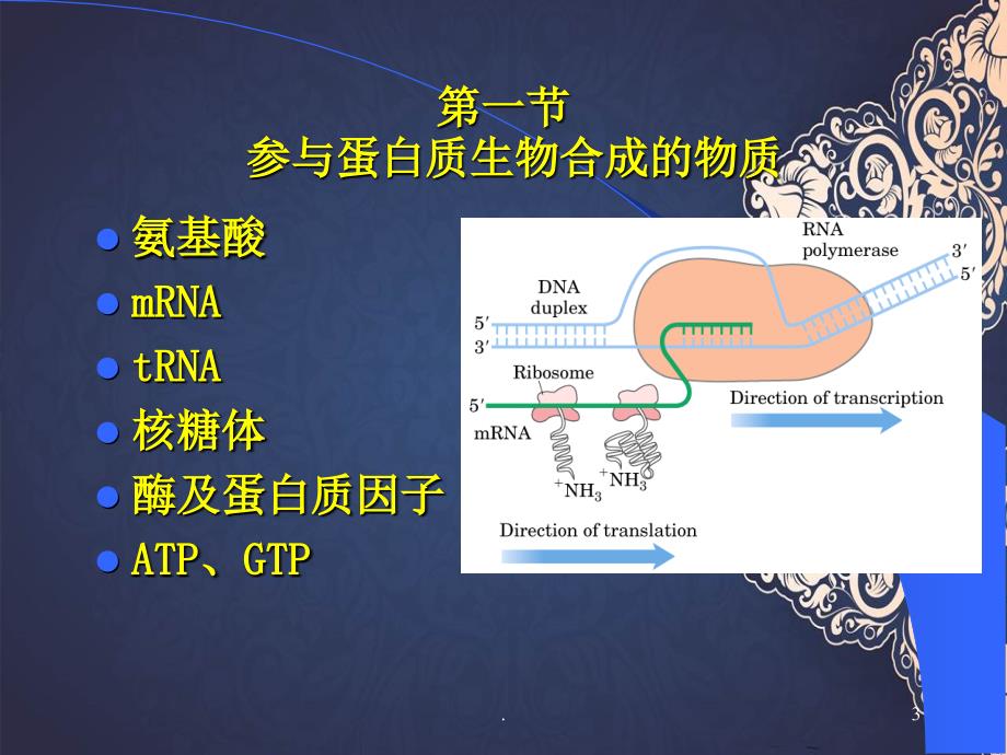 医学遗传与胚胎发育翻译与翻译后修饰整合课程_第3页