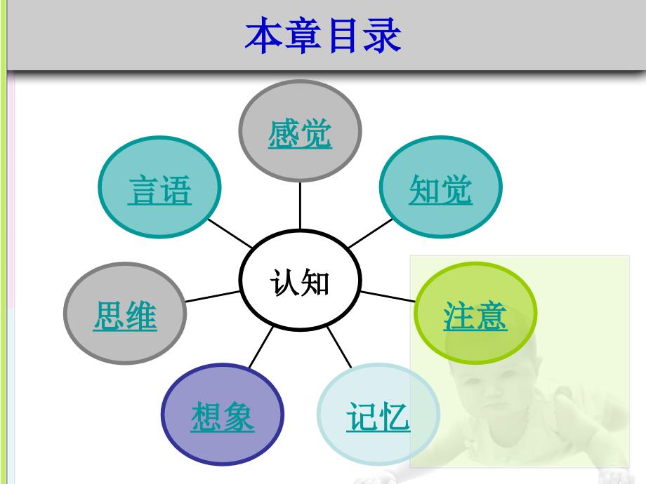 二-学前儿童认知发展课件_第3页