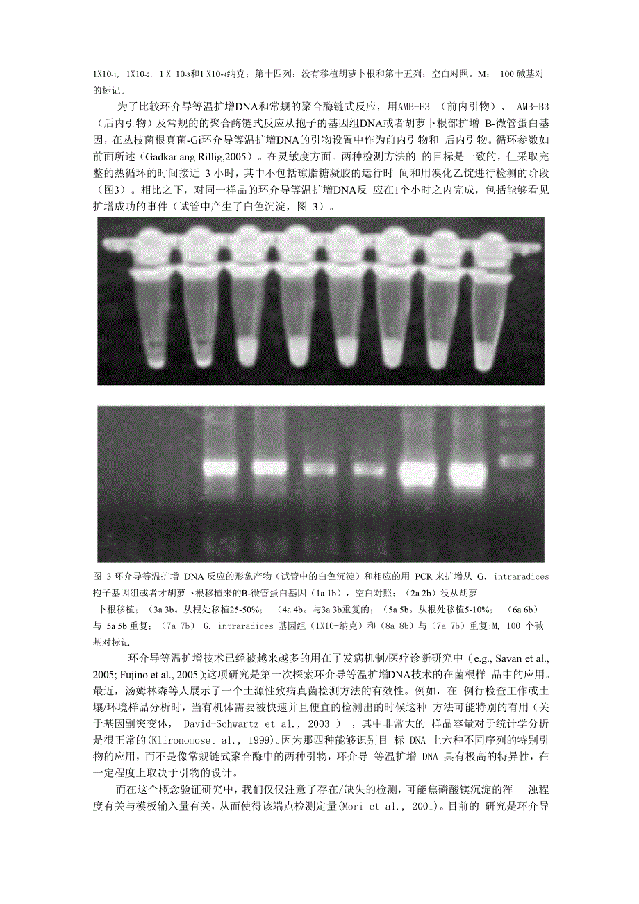 环介导等温扩增的评价用来快速检测丛枝菌根真菌_第3页