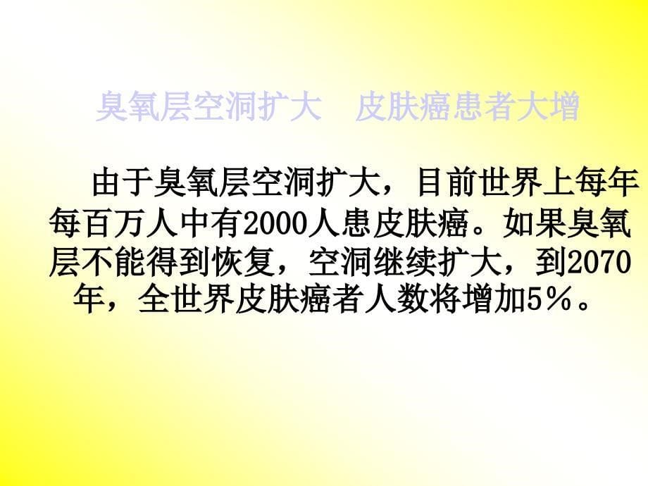 大气圈的组成及大气的受热过程_第5页