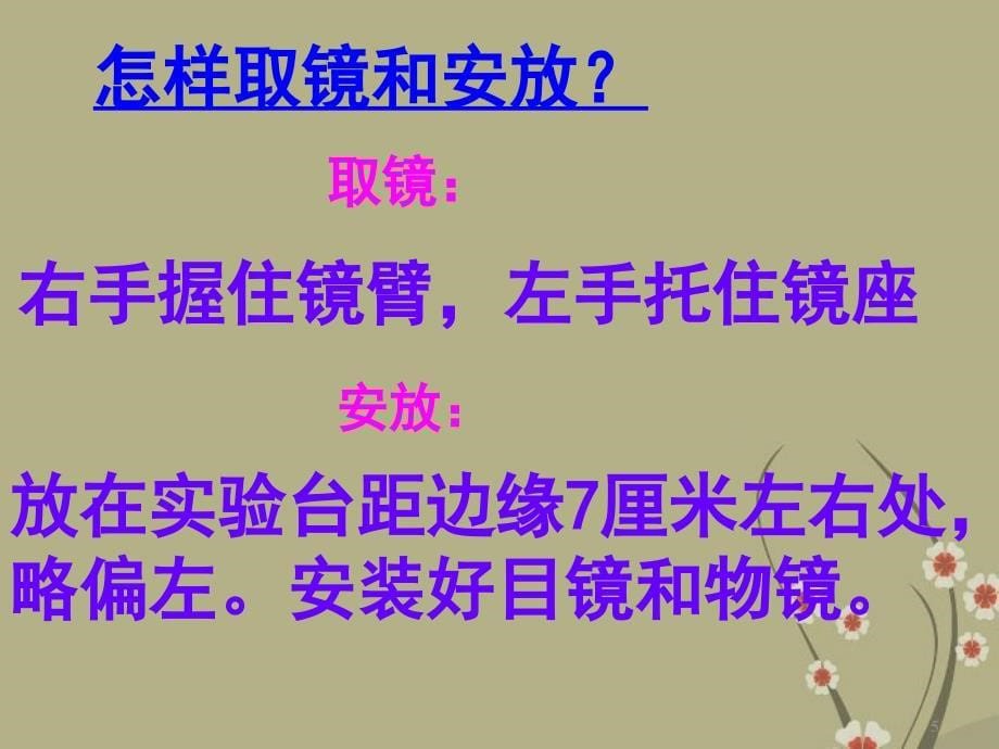 211七年级生物上册第二单元第一章《细胞是生命活动的基本单位》第一节《练习使用显微镜》课件（新版）新人教版_第5页