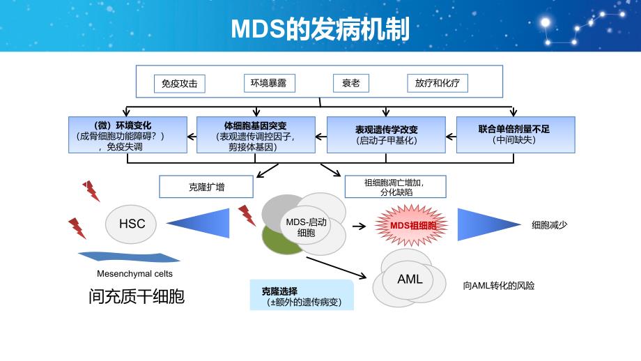 骨髓增生异常综合征诊断与治疗中国共识.ppt_第4页