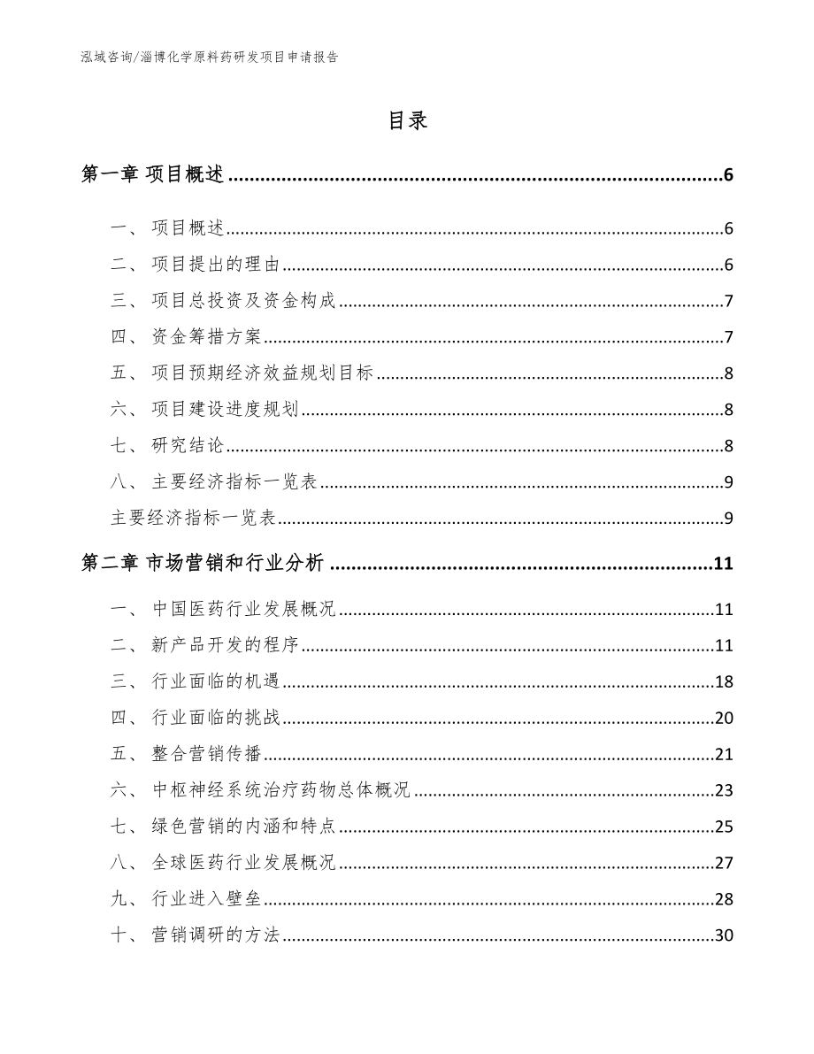 淄博化学原料药研发项目申请报告_第2页