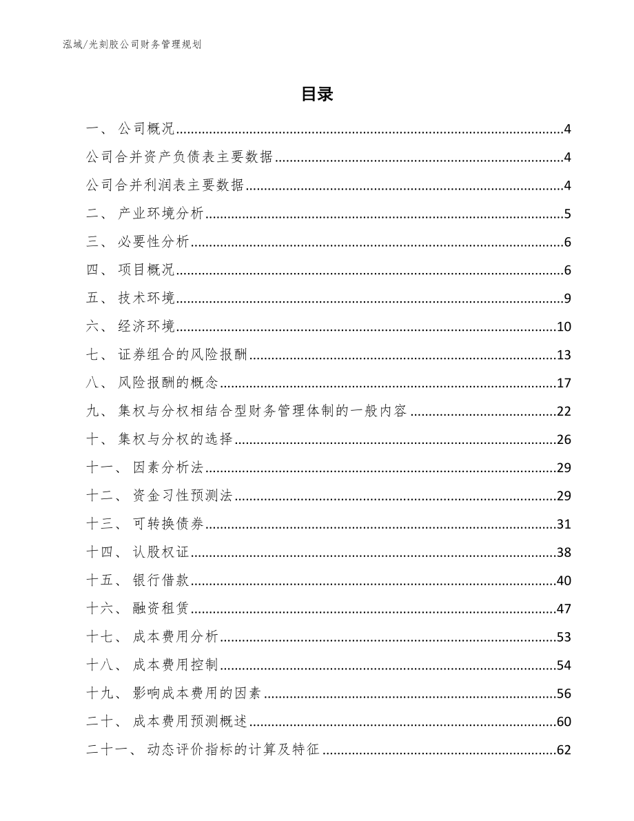 光刻胶公司财务管理规划_第2页