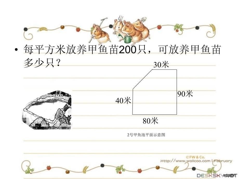 五年级求阴影面积练习题_第5页