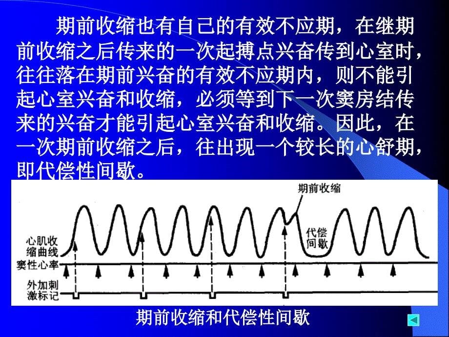 心肌的生理特性通用课件_第5页