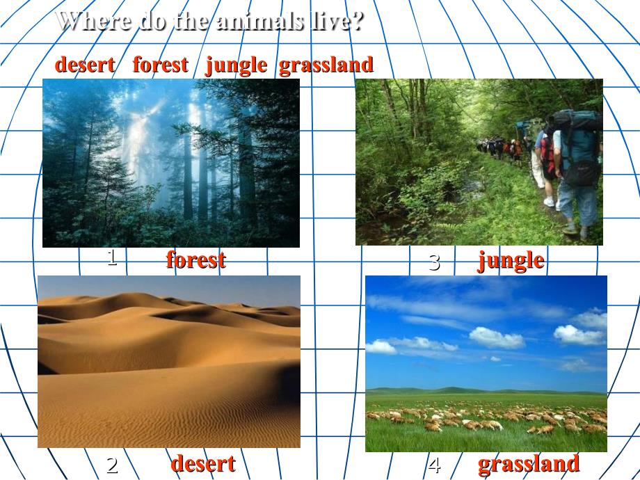 外研版七上Unit2IsitanAfricanelephant2_第3页