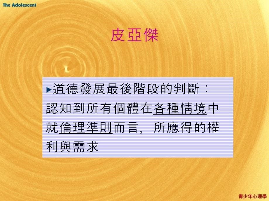 认知社會化理论_第5页