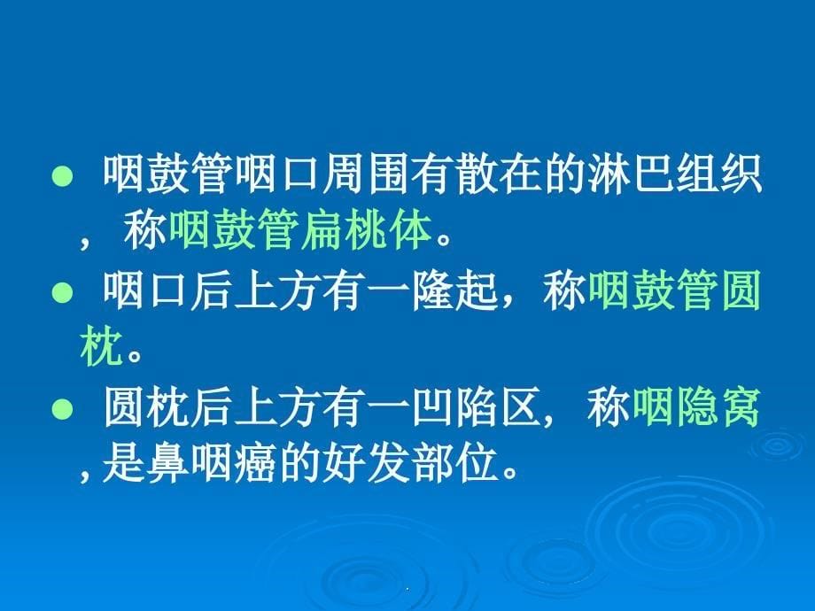 咽科学PPT课件_第5页