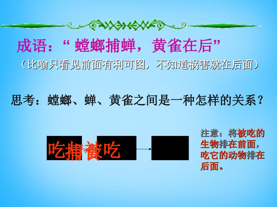 江苏省宜兴市伏东中学七年级生物上册3.6.1食物链课件新版苏科版_第3页