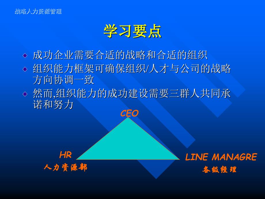 实施人力资源战略的组织能力_第4页