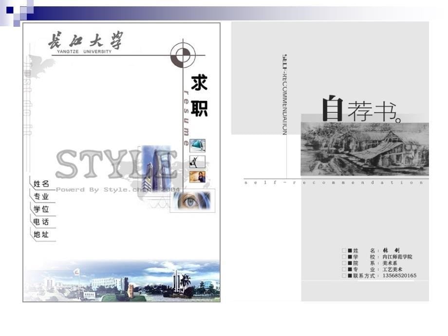 专题求职材料常见问分析_第5页