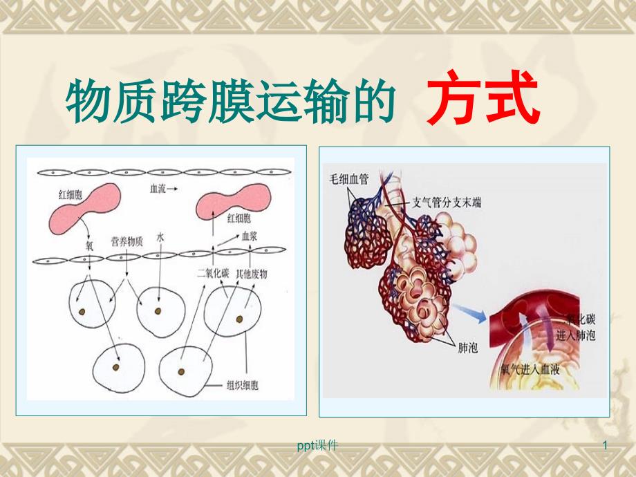 物质跨膜运输的方式课件_第1页