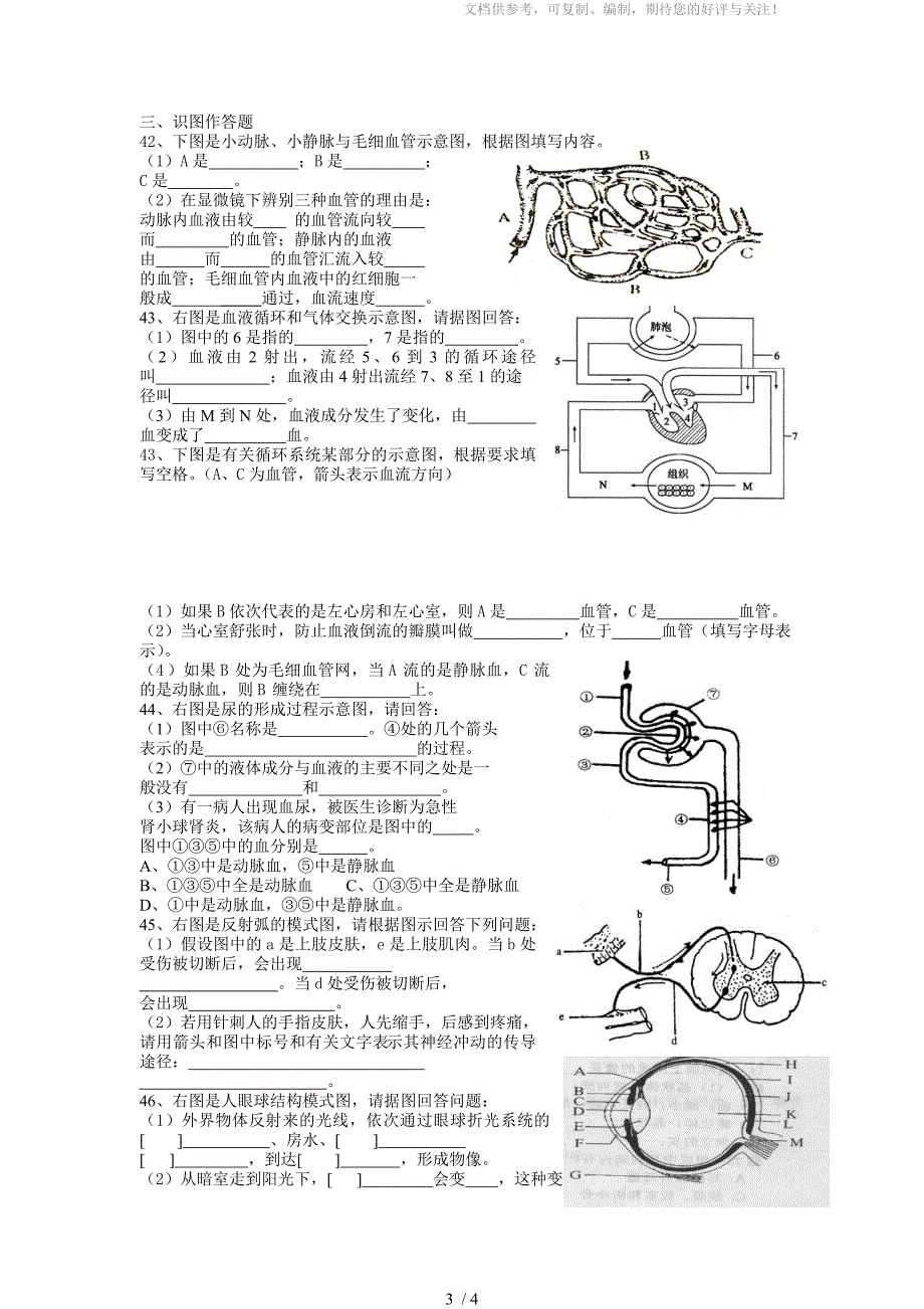 七年级生物下册(4-7章)单元检测题_第3页