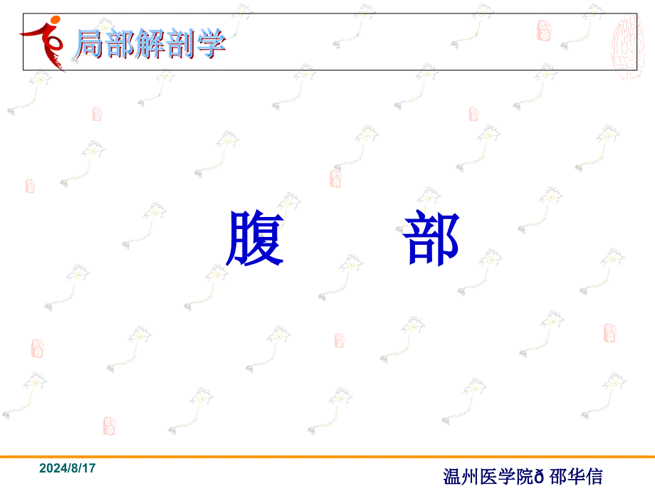 《局部解剖学腹部》PPT课件.ppt_第1页