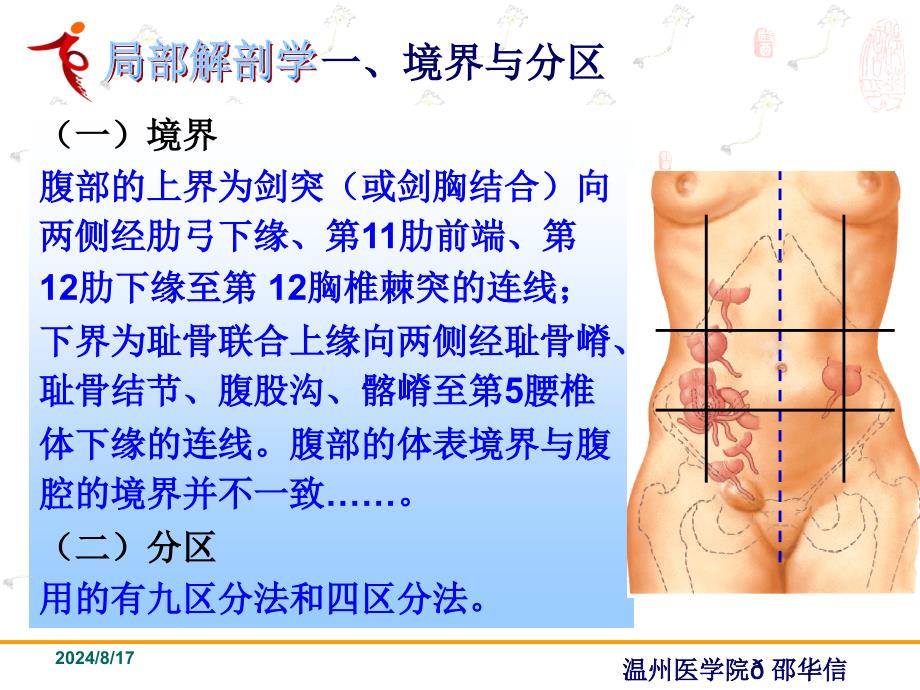 《局部解剖学腹部》PPT课件.ppt_第2页