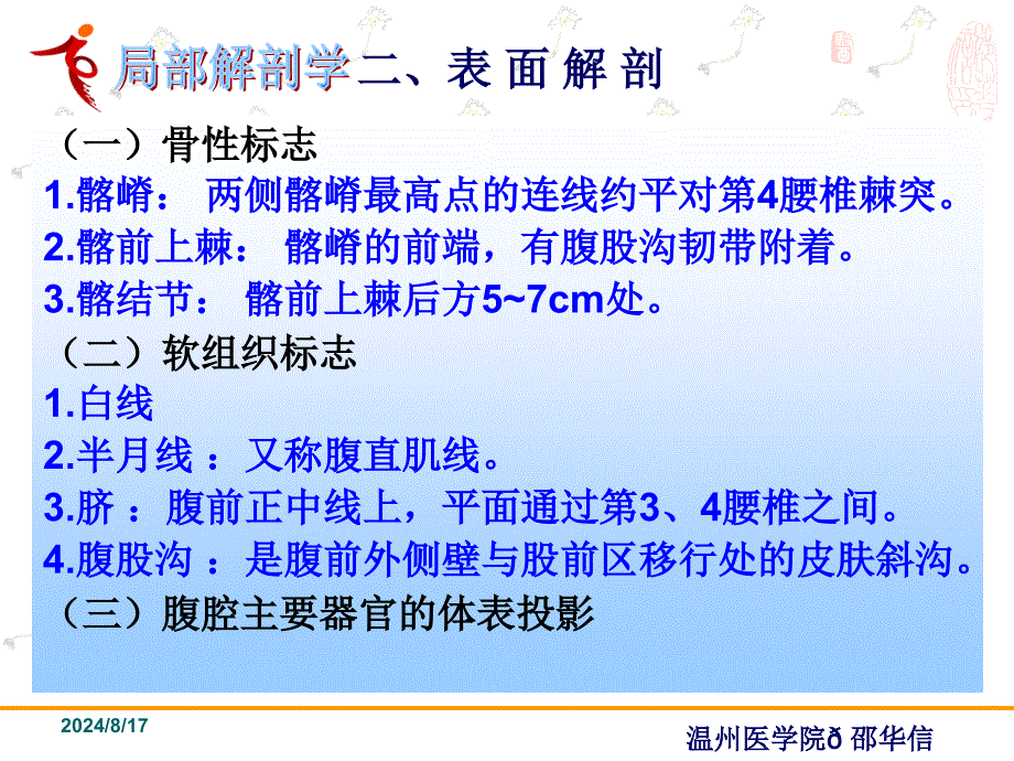 《局部解剖学腹部》PPT课件.ppt_第3页