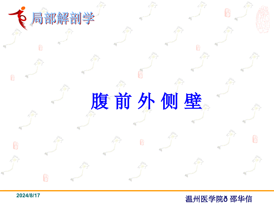 《局部解剖学腹部》PPT课件.ppt_第4页