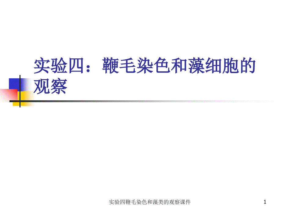 实验四鞭毛染色和藻类的观察课件_第1页