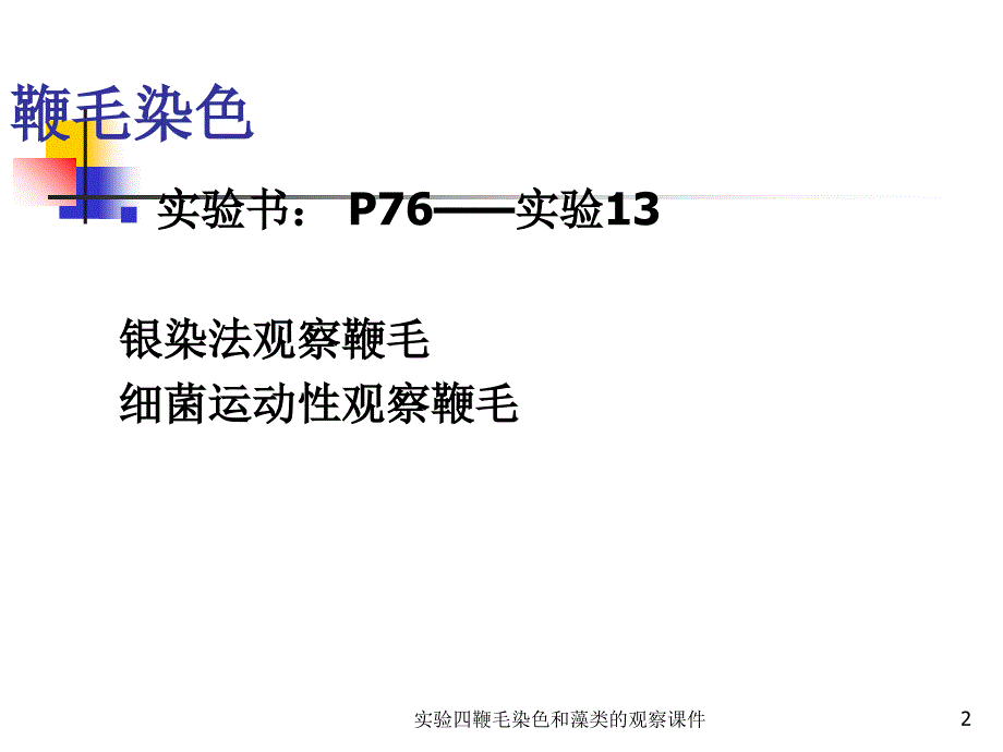 实验四鞭毛染色和藻类的观察课件_第2页