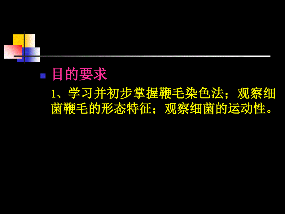 实验四鞭毛染色和藻类的观察课件_第4页