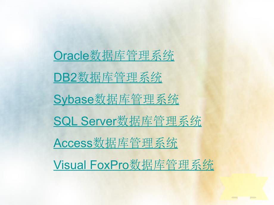 常用的数据库管理系统.ppt_第2页