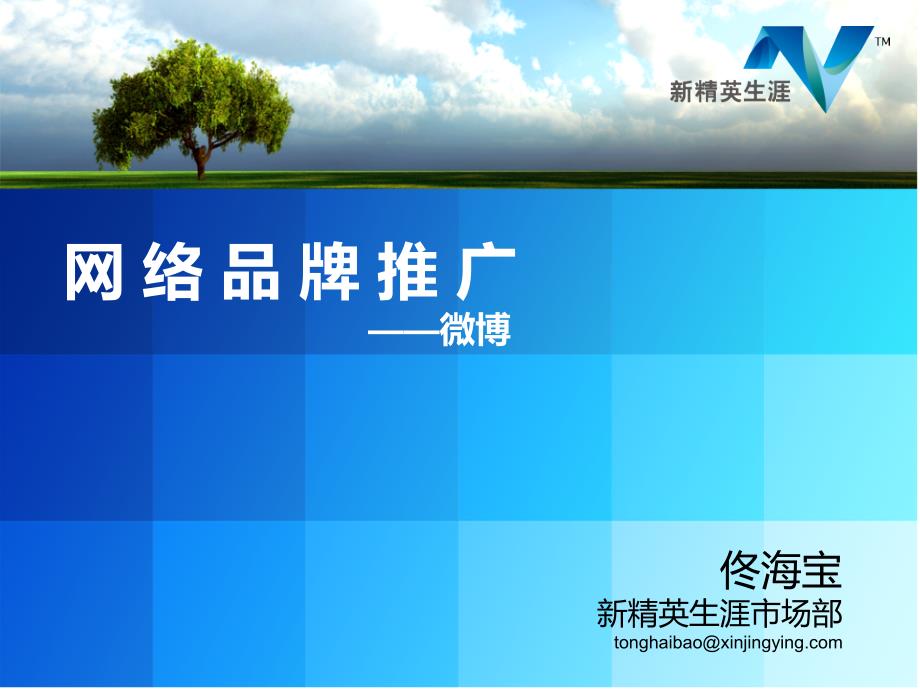 社会化媒体营销：网络品牌推广微博_第1页