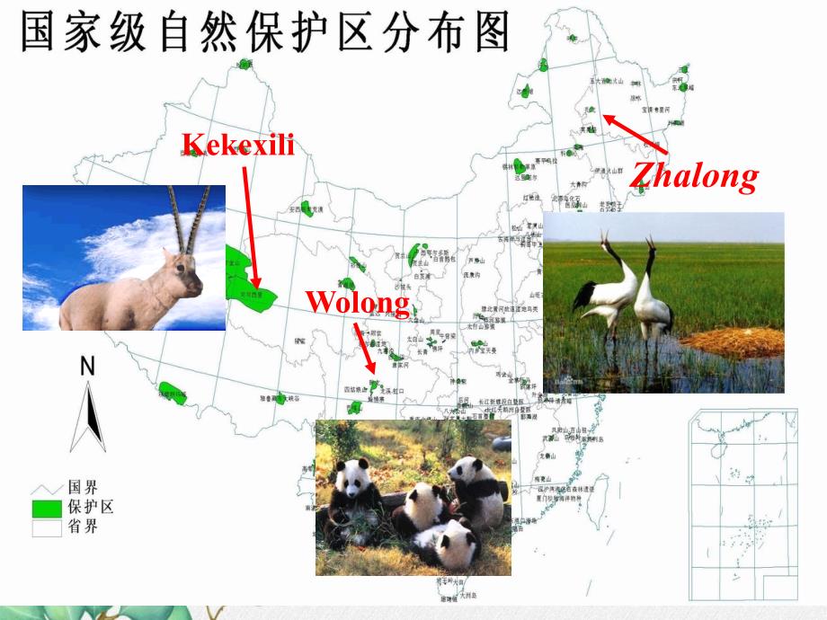 公开课获奖《Unit6BirdwatchingReading1》课件(公开课)_第5页